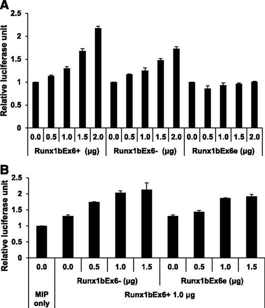 Figure 3. Runx1bEx6− and Runx1bEx6e have lower transactivation efficiency than full-length Runx1bEx6+. 293T cells were transfected in duplicate with the indicated construct together with CBFβ expression construct, M-CSF receptor promoter-firefly luciferase reporter construct and Renilla luciferase reporter construct as a transfection efficiency control. (A) Transfection with single Runx1 isoform. Runx1bEx6− shows lower transactivation than Runx1bEx6+. Runx1bEx6e has no transactivation. Values were normalized to Renilla luciferase signal, and promoter activity of MIP-transfected cells was set to 1. Representative result of 2 independent experiments is shown. (B) Cotransfection of MIP, Runx1bEx6−, or Runx1bEx6e with Runx1bEx6+. Runx1bEx6− and Runx1bEx6e show additive and synergistic effect, respectively. Values were normalized to Renilla signal, and MIP was set to 1. Representative result of 2 independent experiments is shown.