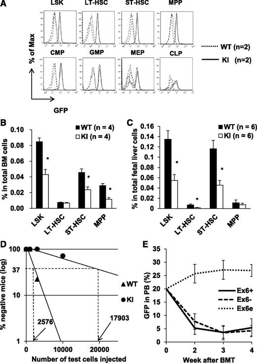 Figure 6. Runx1-IRES-GFP KI mice have decreased HSC pool. (A) GFP expression in HSPCs. GFP fluorescence in KI cells indicates Runx1 promoter activity. GFP histograms are shown by gating the indicated population. Dashed and solid lines denote WT and KI cells, respectively (2 mice each). (B) Flow cytometric analysis of adult BM. (C) Flow cytometric analysis of E14.5 fetal liver cells. (D) Competitive repopulation unit assay. The detailed protocol is described in supplemental Methods. WT cells have 7 times higher frequency of stem cells than KI cells. This experiment was repeated twice with similar results. (E) BMT of Runx1 overexpressing cells. One million cells with 20% GFP+ cells were injected into recipient mice. GFP percentage in peripheral blood was followed up. Ex6+, n = 4. Ex6−, n = 3. Ex6e, n = 4. Ex6+, Ex6−, and Ex6e represent Runx1bEx6+, Runx1bEx6−, and Runx1bEx6e, respectively. LT-HSC, long-term HSC.