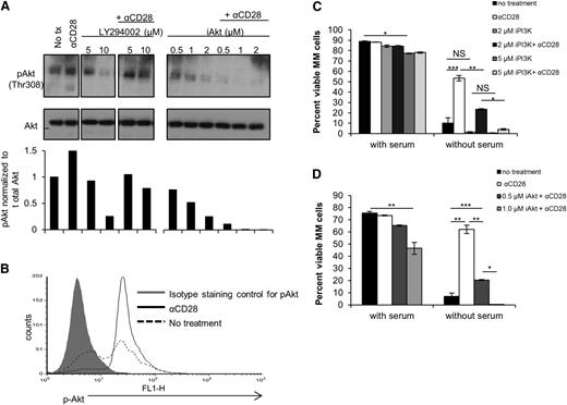 Figure 3. CD28-mediated pro-survival signaling is dependent on PI3K and Akt. (A) MM.1S cells were cultured in full serum ±10 µg/mL CD28 activating mAb (CD28.2) and ± PI3K inhibitor LY294002 or ± iAkt II at the indicated doses. Cells were collected after 2 hours assessed by western blot. (B) MM.1S cells were cultured ± serum ± 10 µg/mL CD28.2 mAb. After 24 hours, cells were isolated, permeabilized, and stained intracellularly for phosphorylated Akt, which was assessed by flow cytometry. (C) MM.1S cells were cultured ± serum ±10 µg/mL CD28 activating mAb (CD28.2), and ± PI3K inhibitor LY294002 at the indicated doses. Cells were collected after 72 hours and viability was assessed via Annexin V and 7AAD staining by flow cytometry. (D) MM.1S cells were cultured ± serum ± 10 µg/mL αCD28.2 and ± Akt inhibitor (Akt inhibitor II) at the indicated doses. Cells were collected after 72 hours and viability was assessed via Annexin V and 7AAD staining by flow cytometry. Data for panels C-D) are representative of 3 independent experiments, and data for panels A-B are representative of 2 independent experiments. *P < .05, **P < .01, ***P < .001.