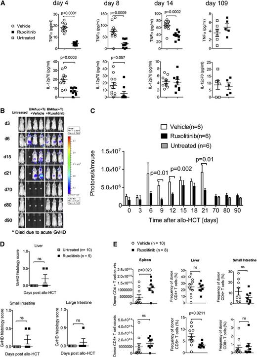 Figure 2. Proinflammtory cytokine production is blocked by ruxolitinib treatment. (A) The TNF-α and IL-12 levels determined in the serum on days 4, 8, 14, and 109 after allo-HCT in untreated mice or recipients treated with vehicle or ruxolitinib. The data are pooled from 2 independent experiments with at least 5 mice per group. (B-C) Serial luciferase–specific imaging was performed with BALB/c WT mice that had undergone allo-HCT with WT BM and luc+ CD4/CD8 T cells. The experiment was performed twice and 1 representative experiment is shown in (B). In (C) the respective P values for the individual time points and the number of mice in each group are indicated in the graph. (D) The organs small intestines, large intestines, and liver were isolated on d109 after allo-HCT from ruxolitinib-treated mice or from untreated mice, and histopathologic changes were scored as described in the Material and methods section. (E) The organs, small intestines, spleen, and liver were isolated on day 14 after allo-HCT, and the absolute numbers (spleen) or frequencies (small intestine and liver) of CD4 and CD8 T cells were determined. The number of mice is indicated for each group.