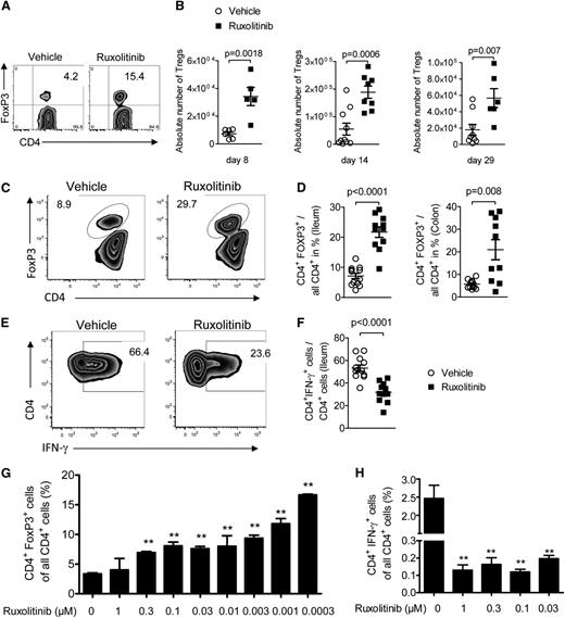 Figure 3. Treg and T-cell phenotype changes during ruxolitinib treatment. (A-B) Shown are a representative flow cytometry plot and the absolute numbers of Treg cells in the spleens of animals on the indicated time points (days 8, 14, 29) after allo-HCT from vehicle or ruxolitinib-treated mice. Data from 2 independent experiments are pooled. (C-D) Shown are a representative flow cytometry plot (ileum) and the percentage of Treg cells in the ileum and colon of animals on the indicated time points after allo-HCT from vehicle or ruxolitinib-treated mice. Data from 2 independent experiments are pooled. (E-F) Shown are a representative flow cytometry plot (ileum) and the percentage of CD4+IFN-γ+ cells in the ileum of animals on the indicated time points after allo-HCT from vehicle or ruxolitinib-treated mice. Data from 2 independent experiments are pooled. (G) CD4+CD62L+ naïve T cells (BALB/c) were exposed to BM-derived DC (C57BL/6) preactivated with 20 ng/mL LPS. The percentage of CD4+FoxP3+ cells of all CD4+ cells is shown for different concentrations of ruxolitinib. One representative experiment of 3 is shown. (H) CD4+ T cells (BALB/c) were exposed to BM-derived DC (C57BL/6) preactivated with 20 ng/mL LPS. The percentage of CD4+IFN-γ+ cells of all CD4+ cells is shown for different concentrations of ruxolitinib. One representative experiment of 3 is shown.
