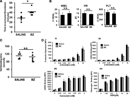 Figure 1. BZ has an antithrombotic effect. (A) C57BL/6J mice at age 8 to 12 weeks treated with intraperitoneal BZ injections (0.3 mg/kg) 3 times per week for 2 weeks. Carotid artery thrombosis21 was performed 24 to 30 hours after the last dose of BZ. *P < .05. (B) WBC count, hemoglobin (HB), and platelet (PLT) counts in C57BL/6J mice treated with BZ. (C) C57BL/6J mice treated with BZ as described in (A) were subjected to tail bleeding assay 24 hours after last dose of BZ. (D) The assay used flow cytometry to examine (i) JON/A binding to platelets stimulated with alpha-thrombin, (ii) P-selectin expression of platelets stimulated with alpha-thrombin, (iii) JON/A binding to platelets stimulated with convulxin, and (iv) fibrinogen binding to platelets after stimulation of platelets with adenosine 5′-diphosphate (ADP). The concentration-dependent results are the mean ± standard error of the mean of 5 individual experiments. N.S. no significant difference. *P < .05