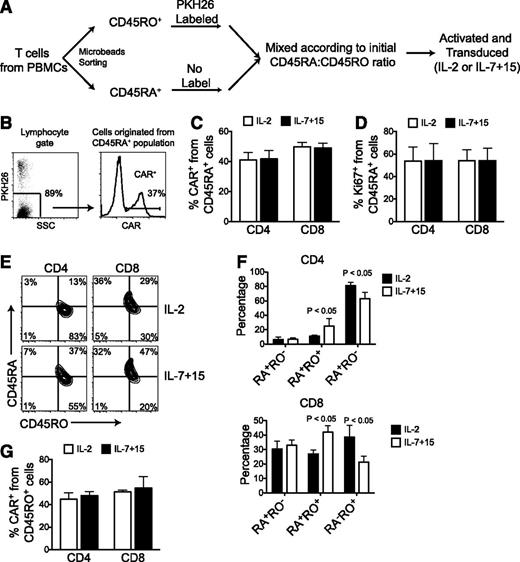 Figure 3. IL-7 and IL-15 do not promote preferential transduction of naïve T cells. (A) Schematic representation of the labeling process to distinguish T cells originated from naïve (CD45RA+) and antigen-experienced (CD45RO+) T cells by labeling with PKH26 dye before activation and retroviral transduction with either IL-2 or IL-7 and IL-15. (B) Gating strategy and representative data showing CAR expression by T cells originated from naive T cells. (C) CAR expression in PKH26– cells (originally CD45RA+) after activation and transduction (n = 5). (D) Percentage of Ki67+ cells on PKH26– cells (originally CD45RA+) prior to retroviral transduction (n = 5). (E-F) Expression of CD45RA and CD45RO on PKH26– cells (originally CD45RA+) after activation and transduction. Representative dot plots (E) and summary of 3 experiments (F). (G) CD45RA+ cells were labeled with PKH26, and transduction on PKH26- cells (originally CD45RO+) was assessed (n = 3).