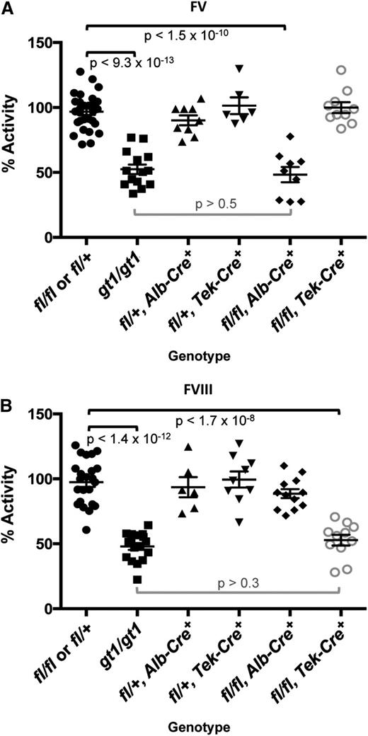 Figure 2. FV and FVIII activity levels for Lman1 conditional knockout mice. Lman1fl/+ and Lman1fl/fl mice were pooled as controls. Data for Lman1gt1/gt1 mice24 (previously reported) are included for comparison. (A) FV activity measured by prothrombin time–based coagulation assay. Lman1fl/fl, Alb-Cre+ mice exhibit a statistically significant reduction in plasma FV activity, relative to control mice (P < 1.5 × 10−10), and are indistinguishable from Lman1gt1/gt1 mice (P > .5). In contrast, FV activity levels for Lman1fl/fl, Tek-Cre+ mice are not reduced. (B) FVIII activity measured by partial thromboplastin time–based coagulation assay. Lman1fl/fl, Tek-Cre+ mice exhibit a statistically significant reduction in plasma FVIII activity, relative to control mice (P < 1.7 × 10−8), and are indistinguishable from Lman1gt1/gt1 mice (P > .3). FVIII activity levels for Lman1fl/fl, Alb-Cre+ mice are not reduced. Each symbol represents an individual animal. Horizontal lines indicate mean and error bars indicate standard error of the mean for each genotype.