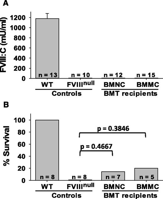 Figure 5. Transplantation of WT bone marrow into FVIIInull mice. Unfractionated C57BL/6 BMNCs or BMMCs were transplanted into lethally irradiated FVIIInull recipients. (A) Plasma FVIII levels in BMT recipients. Tail blood samples were collected, and FVIII levels were determined by chromogenic assay. (B) Tail-clip survival test. The tail clipping test was performed at 15 weeks after BMT.