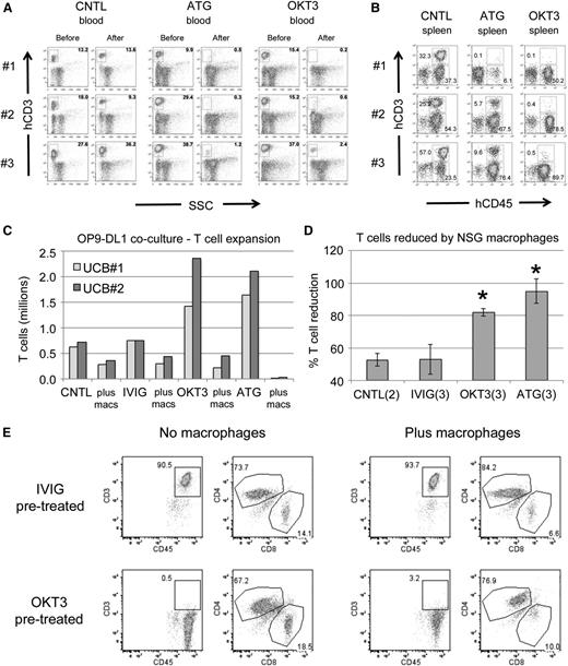 Figure 1. Human T cells are effectively targeted in vivo and in vitro. (A) Flow plots showing levels of human T cells in the PB of UCB-CD34+ humanized NSGS mice before and 3 days after injection of control (CNTL), ATG, or OKT3 antibodies. Three separate mice are shown for each group. SSC, side scatter. (B) The spleens of each of the mice from A were analyzed 7 days after antibody injection. Both CD45+CD3+ T cells and CD45+CD3− non-T cells are gated. (C) Antibody-labeled UCB was co-cultured for 4 days on OP9-DL1 stroma to promote T-cell expansion with or without peritoneal macrophages from NSG mice. IVIG, intravenous immunoglobulin. (D) The decrease in T cells in the presence of macrophages relative to the same antibody labeled culture without macrophages is shown. *P < .05. (E) Representative flow plots after 4 days of coculture to highlight OKT3 blockage of CD3 and the decreased CD8+ T-cell percentages after macrophage exposure.