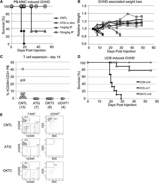 Figure 2. Anti-T–cell antibodies prevent GVHD. (A) Survival of sublethally irradiated NSG mice was monitored after tail vein injection of 20 million normal donor human PB MNCs/mouse. (B) Weights of the mice from A showed a characteristic decline over time. (C) PB from BU-conditioned NSGS and NRGS mice injected with 13 to 17 million antibody pretreated UCB cells showed significant human T cells only in control mouse PB 2 weeks after injection. (D) Survival of mice in C was monitored. (E) Analysis of the week 2 PB samples analyzed in C highlight the potential non-T–cell specific effects of ATG.