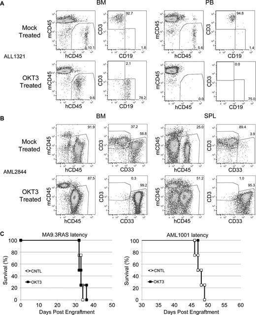 Figure 4. OKT3 rescues leukemia engraftment. (A) Representative FACS plots showing predominant T-cell engraftment in BM and PB of control mice and predominant leukemia engraftment in the NSG mice that received OKT3 pretreated human B-ALL patient cells. (B) A similar analysis and result is shown for the NSGS BM and spleen (SPL) of mice that received human patient AML cells. (C) Latency of AML induced in NSGS mice by the MA9.3RAS cell line (left) or the AML1001 patient sample (right) was not altered by pretreatment of cells with OKT3.