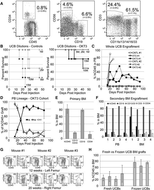 Figure 5. OKT3 pretreatment allows establishment of long-term hematopoietic xenografts from unfractionated UCB. (A) A representative hetastarch-depleted UCB, showing average and standard deviation (14 unique UCBs) stem and progenitor (CD34+), NK (CD56+), B (CD19+), T (CD3+), and myeloid (CD11b/13/14/16/33+) cells. Units contained an average of 850 M WBCs with average recovery of 84% (±11%). (B) One to 15 million total UCB-WBCs were infused, and NSGS and NRGS mice were followed for GVHD. Samples were pretreated with OKT3 (solid lines, right) or control (dashed lines, left). (C) Mice injected with UCB cells were followed for engraftment of hCD45+ cells in the PB. Plots show average levels from 2 unique UCBs in 2 experiments (1 and 2) utilizing NSGS (1) and NRGS (2) mice. (D) Average PB lineage distribution of human grafts observed in the OKT3 cohorts. (E) The 12- to 16-week BM engraftment in NSG mice receiving OKT3 pretreated UCB. Data from 3 separate UCB samples engrafted into 2 or 3 mice each (n = 7) is shown. Populations are shown as percentages of the hCD45+ graft. (F) Secondary NSG engraftment was measured at 16 weeks in the PB and BM. Results from 4 secondary mice are shown. (G) OKT3 pretreated WUCB engraftment of 3 NSG mice was measured at 12 weeks and again at 20 weeks to determine the potential for long-term engraftment. (H) BM engraftment in mice that received 1 to 5 million WBCs from unique fresh or frozen UCB units. Each column represents the average from 3 to 9 mice at 10 to 12 weeks.