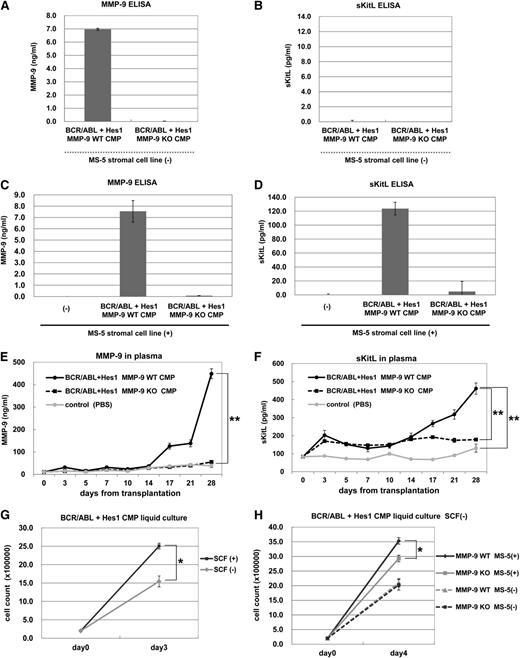 Figure 6. MMP-9 secreted by leukemic cells expressing BCR-ABL and Hes1 promoted the release of sKitL from stromal cells. (A-B) Levels of MMP-9 (A) or sKitL (B) in culture supernatants of WT or MMP-9–deficient CMPs expressing BCR-ABL and Hes1 cultured for 24 hours were measured by ELISA. (C-D) Levels of MMP-9 (C) or sKitL (D) in culture supernatants of WT or MMP-9–deficient CMPs expressing BCR-ABL and Hes1 that had been co-cultured with MS-5 stromal cells for 24 hours were measured by ELISA. (E-F) Plasma levels of MMP-9 (E) or sKitL (F) at the indicated days in the recipient mice transplanted with WT or MMP-9–deficient CMPs expressing BCR-ABL and Hes1 or in mice without transplantation were measured by ELISA. (G) Growth of WT CMPs expressing BCR-ABL and Hes1 in the presence or absence of 50 ng/mL SCF. (H) Growth of WT or MMP-9–deficient CMPs expressing BCR-ABL and Hes1 cultured with or without MS-5 cells without SCF. (G-H) The numbers of cells were determined by trypan blue staining. (G) 2 × 105 cells per well were seeded into a 6-well plate. (H) 1 × 105 cells per well were seeded into a 6-well plate. (A-H) All data points correspond to the mean and the SD of 3 independent experiments. (E-H) Statistically significant differences are shown: *P < .05, **P < .01.
