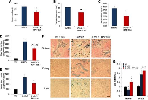 Figure 3. Effect of RAP-536 on iron overloading and Hamp expression in Hbbth1/th1 mice. Hbbth1/th1 mice (3-4 months old) were treated with RAP-536 or vehicle as in Figure 2, and age-matched wild-type mice treated with vehicle were used as additional controls. (A-C) Serum iron concentration, transferrin saturation, and serum ferritin concentration (n = 6-8 mice per group). (D-E) Tissue iron levels in liver and kidney (n = 5-7 mice per group). (F) Representative images of formalin-fixed sections from spleen, kidney, and liver stained with Perls’ Prussian blue reveal reduced iron content following RAP-536 treatment. Images were obtained with a 20× objective; bar = 100 µm. (G) Expression of Hamp and Bmp6 in liver determined by quantitative real-time polymerase chain reaction (n = 5-7 mice per group). Data are means ± SEM. #P < .05 and ###P < .001 vs wild type; *P < .05 and **P < .01, RAP-536 vs vehicle.