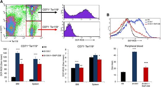 Figure 5. Effect of RAP-536 on ROS in Hbbth1/th1 mice. Hbbth1/th1 mice (3-4 months old) were treated with RAP-536 or vehicle as in Figure 2, and age-matched wild-type mice treated with vehicle were used as additional controls. (A) Representative flow cytometric gating and quantitative data for ROS obtained by measuring H2DCF-DA fluorescence in immature (CD71+Ter119+) and mature (CD71–Ter119+) erythroblasts from bone marrow and spleen. (B) Representative histogram overlay and quantitative data for ROS in peripheral erythrocytes under basal conditions (without exogenous peroxide) (n = 4-6 mice per group). Data are means ± SEM. ###P < .001 vs wild type; *P < .05, **P < .01, and ***P < .001, RAP-536 vs vehicle.