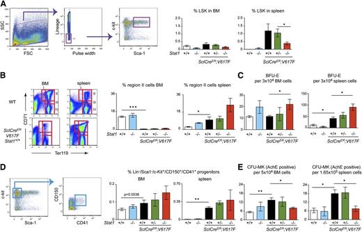 Figure 3. Flow cytometric analysis of BM and spleen, and hematopoietic progenitor colony assays. (A) flow cytometric analysis of LSK in BM and spleen and quantification of LSK, (B) flow cytometric analysis of erythroid precursors in region II (CD71+/Ter119+) and (D) flow cytometric analysis of megakaryocytic progenitors (Lin−Sca1−ckit+/CD150+CD41+). (C,E) Number of hematopoietic progenitors assessed by colony assays in methylcellulose or collagen-based media. Error bars represent SEM. One-way ANOVA was used for comparisons. *P ≤ .05; ns, not significant. (SclCreER;V617F;Stat1+/+, n = 5; SclCreER;V617F;Stat1+/−, n = 8 ; SclCreER;V617F;Stat1−/−, n = 9; wild type, n = 8; and Stat1−/−, n = 6). AchE, acetylcholinesterase; FCS, forward scatter; SSC, side scatter.