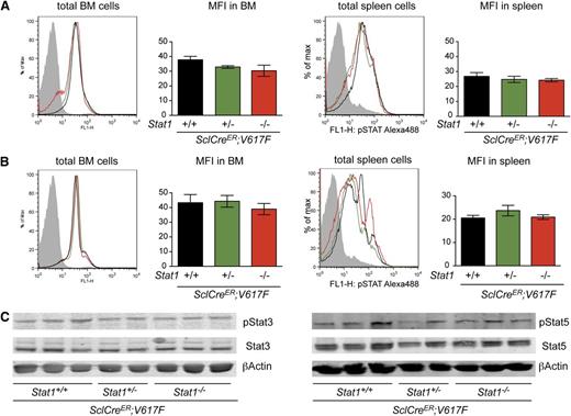 Figure 4. Analysis of Stat3 and Stat5 phosphorylation in BM and spleen of transgenic mice (n = 4, per group). Intracellular detection by flow cytometry of pStat3 (A) and pStat5 (B) in BM and spleen. Data shown are representative of 2 independent experiments (n = 4 per arm). (C) Levels of total Stat3 and pStat3 proteins (left panel), and Stat5 and pStat5 proteins (right panel) in BM homogenates assessed by immunoblot analysis. Error bars represent SEM. One-way ANOVA is shown for comparisons. MFI, mean fluorescent intensity; ns, not significant.