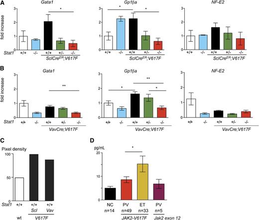 Figure 5. Gene expression analysis in platelets of transgenic mice and controls by quantitative PCR. Fold changes in mRNA expression of selected genes in platelets of SclCreER;V617F;Stat1−/− and controls (A), and VavCre;V617F;Stat1−/− and controls mice (B). Expression of mouse Gusb was used for normalization and relative expression was calculated with the ΔCT method. The mean value of 4 mice per group is shown. Error bars represent SEM. One-way ANOVA is shown for comparisons. (C) Serum levels of IFNγ in transgenic mice and controls. Duplicates of 1 mouse per genotype are shown. (D) Serum levels of IFNγ in patients with JAK2-V617F–positive and JAK2 exon 12–mutated MPN, and healthy controls. The Student t test is shown for the comparisons. *P ≤ .05, **P ≤ .01. NC, normal control; ns, not significant; PCR, polymerase chain reaction; wt, wild type.