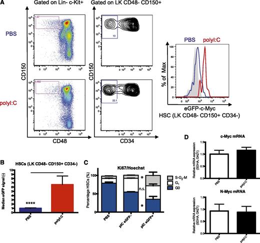 Figure 2. eGFP-c-Myc protein expression is induced by polyI:C and IFN-α in HSCs. (A) Treatment of eGFP-c-Myc knock-in mice with polyI:C induces eGFP-c-Myc expression in HSCs as shown by flow cytometry. Sca-1 was omitted as a marker, as polyI:C leads to a shift in Sca-1 expression. (B) Quantification of A (pooled data of 3 independent experiments; N = 12; mean and SD; ****P < .001; unpaired 2-tailed t test). (C) Correlation of cell cycle status (Ki67-Hoechst) and eGFP-c-Myc expression of HSCs after polyI:C treatment (N = 3; mean and SD; *P < .05; unpaired 2-tailed t test). (D) mRNA expression of c-Myc and N-Myc were measured by qRT-PCR in FACS-sorted Lin−Kit+CD48−CD150+ cells of wild-type mice injected with phosphate-buffered saline or polyI:C (pooled data of 2 independent experiments; N = 6-8 per group; mean and SD; unpaired 2-tailed t test).