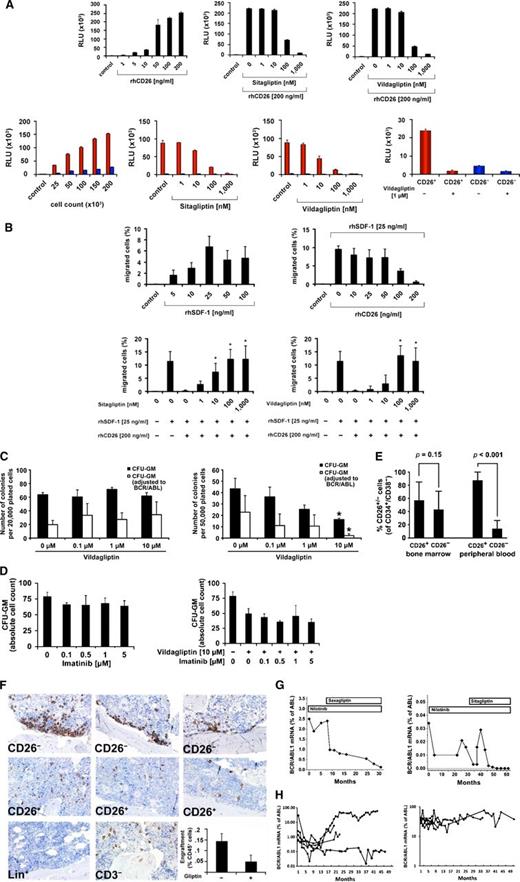 Figure 3. CML SC express functional DPPIV activity. (A) DPPIV enzyme activity of recombinant human (rh) DPPIV/CD26 (upper panel) and cell-derived CD26 (lower panel) measured as described in the supplemental material. Upper right: rhCD26 (200 ng/mL) was preincubated with various concentrations of sitagliptin or vildagliptin (as indicated) at 37°C for 30 minutes. Lower left: DPPIV activity in lysates of CD26-transfected KU812 cells (red bars) and control-vector–transfected CD26− KU812 cells (blue bars) (each 50 × 103). Before being analyzed, cells were incubated with various concentrations of sitagliptin or vildagliptin for 30 minutes. Lower right: Primary sorted CD26+ SC (red bars) and CD26− SC (blue bars) (each 25 × 103 cells) from a patient with CP CML were incubated with or without vildagliptin at 37°C for 30 minutes. DPPIV enzyme activity was expressed as relative luminescence units (RLU) per 50 × 103 cells. Results represent the mean ± SD of triplicates. (B) For chemotactic migration, CXCR4+ U937 cells (1.5 × 105/well) were applied in a double-chamber chemotaxis assay. Cells were allowed to migrate through 5-µm filters against various concentrations of SDF-1 (upper left) at 37°C for 4 hours. Transmigrated cells were counted by flow cytometry. In a next step, SDF-1 (25 ng/mL) was incubated with various concentrations of rhCD26 overnight and then used to induce migration of U937 cells (upper right subpanel). Finally, 200 ng/mL of rhCD26 were preincubated with various concentrations of sitagliptin (lower left) or vildagliptin (lower right) for 30 minutes, before SDF-1 (25 ng/mL) was added (overnight). Results represent the mean ± SD from 4 experiments. *P < .05 compared with untreated cells. (C) Left: CML MNC were plated in methylcellulose supplemented with cytokines in the absence (control) or presence of various concentrations of vildagliptin at 37°C for 16 days. Then CFU-GM colonies (black bars) were counted. Thereafter, colonies were picked and BCR/ABL1 mRNA expression was determined by qPCR (white bars). Right: CML MNC were incubated on irradiated M2-10B4 feeder cells for 3 weeks in the absence (control) or presence of various concentrations of vildagliptin. Then cells were harvested and plated in a CFU assay for 16 days. CFU-GM colonies (black bars) and BCR/ABL1+ colonies (white bars) are shown. *P < .05 compared with untreated cells. (D) CML MNC were plated on a feeder layer of irradiated M2-10B4 cells in various concentrations of imatinib (left panel) or imatinib in combination with 10 µM vildagliptin (right panel) for 48 hours. Thereafter, nonadherent cells of each well were harvested and plated in a CFU assay. After 2 weeks, colonies were counted. (E) The percentage of CD26+ and CD26− SC in the BM (left bars) and PB (right bars) of patients with CML determined by flow cytometry. (F) NSG mouse BM sections stained with an antibody against human CD45. NSG mice were injected with CD26+ SC, CD26− SC, lineage-positive (Lin+; CD14+, CD15+ sorted) cells (negative control), or CD3–depleted MNC (positive control) obtained from patients with CP CML. CD26+ LSC produced diffuse engraftment in the NSG BM, whereas normal CD26− SC produced myeloid engraftment at the endosteal surface. Original magnification ×40/0.85. (F) Lower right: Engraftment of CD26+ CML LSC after preincubation with control medium (−) or vildagliptin, 10 µM (+) at 37°C for 30 minutes. Engraftment in NSG mice (3 mice per group) was determined by measuring the percentage of CD45+ cells in the BM (after 18 weeks) by flow cytometry. Results represent the mean ± SD of 3 mice (each group). (G) BCR/ABL1 transcript levels, quantified by qPCR, in 2 patients with imatinib-resistant CML who received nilotinib (left panel patient: 200 mg/day; right panel patient: 800 mg/day), and later, because of uncontrolled diabetes mellitus, saxagliptin, 5 mg daily per os (left panel) or sitagliptin, 50 mg daily per os (right panel). (H) BCR/ABL1 mRNA levels in 8 CML patients (4 with high BCR/ABL1 burden and 4 with low BCR/ABL1 burden) who lost MMR or CMR during therapy with nilotinib and did not receive a gliptin. BCR/ABL1 transcript levels were quantified by qPCR according to the international scale.
