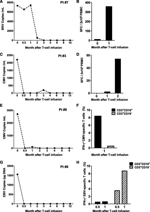 Figure 3. Antiviral immune reconstitution after iC9-T-cell infusion. Patients 7 (A-B), 3 (C-D), 9 (E-F), and 6 (G-H) had viral reactivation before iC9-T cell infusion and did not receive AP1903. Left panels (A,C,E,G) illustrate the viral load for each single patient at different times; right panels (B,D,F,H) illustrate the quantification of pathogen-specific T cells detected either by IFN-γ ELIspot or intracellular staining in the CD3+CD19+ and CD3+CD19− T cells at multiple times.