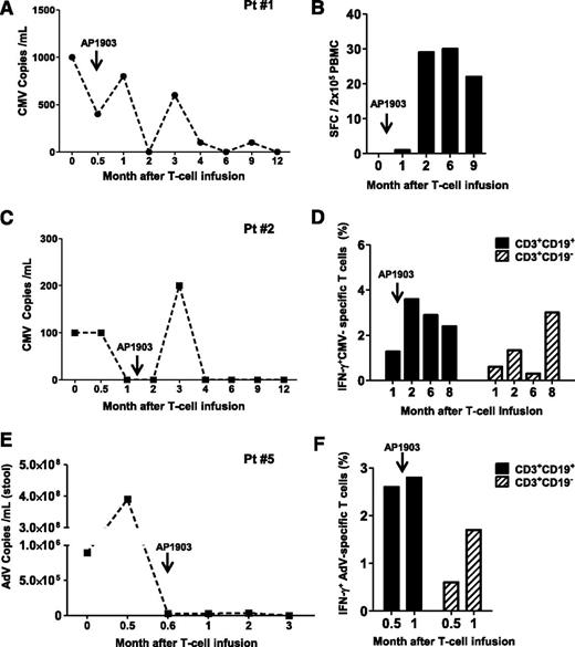 Figure 4. Recovery of antiviral immune responses after iC9-T-cell infusion and administration of AP1903. Patients 1 (A-B), 2 (C-D), and 5 (E-F) had viral reactivation and also received AP1903 to control acute GvHD. Left panels (A,C-D) illustrate the viral load for each single patient at multiple times; right panels (B,D-F) illustrate the quantification of pathogen-specific T cells detected either by IFN-γ ELIspot or intracellular staining in the CD3+CD19+ and CD3+CD19− T cells at each time.
