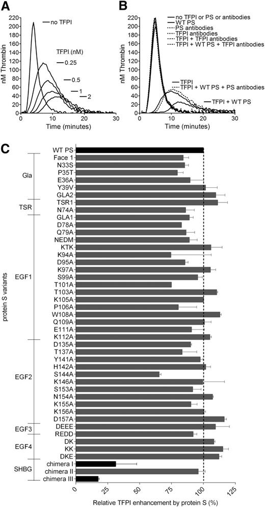 Figure 1. Protein S enhancement of the TFPI-mediated inhibition of thrombin generation in protein S–depleted plasma. Thrombin generation was measured in protein S–depleted plasma supplemented with 50 µM phospholipids and 1 pM TF in the presence or absence of 0 to 2 nM (A) or 1 nM TFPI (B-C) and in the presence or absence of 50 nM WT PS (B-C). (A) A dose-dependent decrease in thrombin generation could be seen after the addition of increasing concentrations of TFPI. (B) Inhibitory antibodies against TFPI (a mix of 120 nM anti-TFPI Kunitz domain 1, 120 nM anti-TFPI Kunitz domain 2, and 120 nM anti-TFPI C-terminus) did not affect thrombin generation in protein S–depleted plasma, whereas they successfully repressed all inhibition of thrombin generation by TFPI in the presence or absence of protein S. In addition, inhibitory antibodies against protein S (2.8 µM; Dako) inhibited the enhancement of TFPI seen in the presence of protein S but had no effect on the absence of protein S. (C) The TFPI cofactor function of WT protein S and protein S variants was evaluated at 1 nM TFPI and 50 nM protein S. Pure WT protein S and WT protein S in concentrated conditioned media gave identical results. Protein S variants with amino acid substitutions in the Gla-TSR-EGF1-EGF2-EGF3-EGF4 domains (see supplemental Table 1 for full details of amino acid substitutions in the protein S variants used in this study) were screened in concentrated conditioned media. Protein S/Gas6 chimeras were purified before all experiments. All protein S variants were compared with WT protein S in concentrated conditioned media or were purified, as suitable. The relative protein S enhancement was determined as the decrease in peak height compared with WT protein S. The decrease in peak height in the presence of WT protein S compared with TFPI alone was set as 100% (n = 2). Results are expressed as mean ± standard deviation (SD). (A-B) Representative experiments are shown (n = 3). PS, protein S.