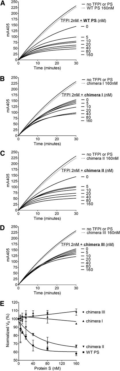 Figure 3. Enhancement of TFPI in the inhibition of FXa by WT protein S and protein S/Gas6 chimeras I to III. FXa activity (0.5 nM) was followed in real time through cleavage of S-2765 (200 µM) at 405 mm in the presence of 25 μM phospholipids, the presence or absence of TFPI (2 nM), and in increasing concentrations (0-160 nM) of WT protein S (A), chimera I (B), chimera II (C), or chimera III (D). Results from representative experiments are shown (n = 3). (E) The initial velocity (V0) was calculated and plotted against protein S concentration. Results are given as mean ± SD and are expressed as percentage of the V0 in the presence of TFPI alone (n = 3). PS, protein S.