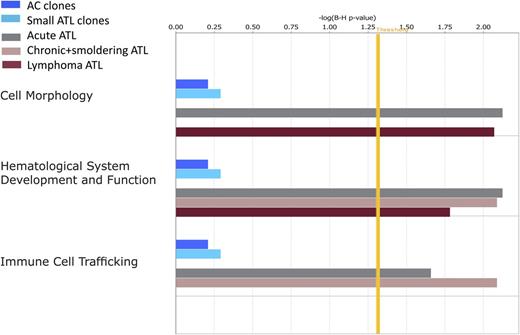 Figure 4. Functional classification of gene ontologies overrepresented among the large ATL clones. Functional categories significantly overrepresented among the random, AC, ATL small, intermediate, and large ATL clones as analyzed by Ingenuity software using the Ingenuity Pathways Knowledge Base (IPKB) gene population as baseline. Horizontal bars are only visible where there was a statistical overrepresentation of the pathway compared with the IPKB. Because there were no overrepresented pathways involving the random integration sites or intermediate-abundance clones in ATL cases, the bars are not visible. The vertical yellow threshold represents the line of statistical significance (P < .05) after correction (Benjamini-Hochberg) for multiple testing. The numbers of searchable genes for comparison with the IPKB were random (n = 96 706), AC (n = 5679), ATL small (n = 1628), ATL intermediate (n = 87), or ATL large (acute n = 141, lymphoma n = 31, chronic and smoldering n = 38).
