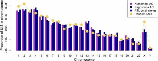 Figure 5. Preferential survival of HTLV-1 in vivo in chromosomes 13, 14, 15, and 21. The proportion of unique integration sites (UIS) per chromosome is shown for 2 independent AC data sets (Kumamoto and Kagoshima) and the small clones in ATL cases. The yellow line shows the frequency of sites in the random data set. There were an increased number of integrations in chromosomes 13, 14, 15, and 21 in the clones of asymptomatic carriers and small clones in ATL cases compared with random. The bias remained in chromosomes 13 and 15 when compared with a previously reported data set6 of integration sites from Jurkat cells infected in vitro with HTLV-1.