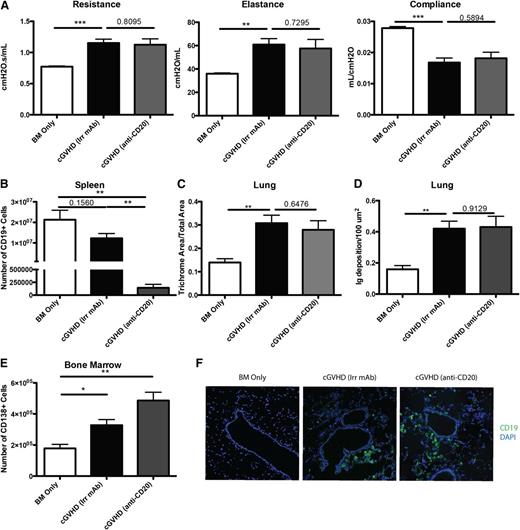Figure 2. B-cell depletion by anti-CD20 therapy is not sufficient to prevent cGVHD and associated BOS. cGVHD was established in B10.BR mice transplanted with WT B6 BM and WT B6 spleen cells, and mice were treated with anti-CD20 or irrelevant mouse IgG1 antibody from day 28 to day 56. (A) PFTs for mice treated with irrelevant or anti-CD20 antibody. (B) Number of B cells purified from the spleens of mice on day 56. (C) Trichrome deposition and (D) Ig deposition in the lungs of mice harvested on day 56. (E) Number of CD138+ CD19 low plasma cells in the BM of D60 transplanted mice. (F) Representative images of frozen lung tissues stained with anti-CD19 FITC and 4,6 diamidino-2-phenylindole. Representative data from 2 experiments; n = 8 mice per group. *P < 0.5; **P < .01; ***P < .001.