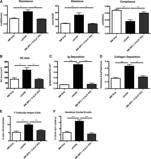 Figure 4. IL-21 production from donor T cells is required for cGVHD pathology. B10.BR mice were transplanted with WT B6 BM and splenocytes from either WT B6 or B6 IL-21 KO mice. (A) Mice were evaluated for pulmonary function. (B) Lungs of mice were stained with trichrome, and the ratio of collagen stain to total stain was measured surrounding the bronchioles. (C) Lung sections were stained with FITC-conjugated anti-mouse Ig, and the area of Ig deposition was measured. (D) Whole spleen sections were stained with rhodamine-conjugated PNA, and the size of the PNA-positive sections was measured. Frequency of (E) Tfh and (F) GC B cells in the spleen of transplanted mice on day 60. Representative data from 3 experiments; n = 8 mice per group. *P < .05; **P < .01; ***P < .001.