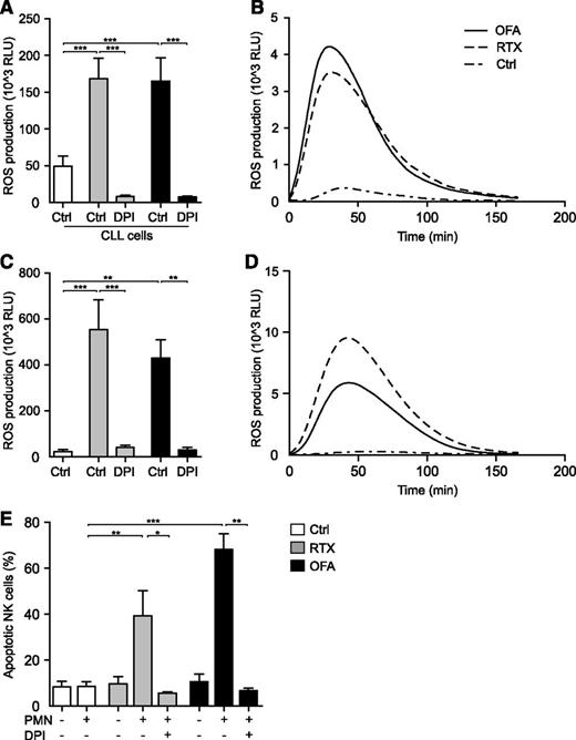 Figure 1. Induction of neutrophil ROS production by αCD20 mAbs. PMNs were isolated by dextran sedimentation followed by standard density gradient centrifugation. (A) PMNs from healthy donors were assessed for ROS production by isoluminol-enhanced chemiluminescence in the presence of purified CLL cells (CLL:PMN ratio, 1:2) and the presence or absence of soluble RTX (10 μg/mL; Roche) or OFA (10 μg/mL; GlaxoSmithKline) and DPI (3μM; Sigma-Aldrich; n = 5). (B) Individual kinetic graph from 1 experiment shown in panel A. (C) PMNs derived from patients with CLL in the presence or absence of plate-bound RTX or OFA (10 μg/mL; n = 4). (D) Individual kinetic graph from 1 experiment shown in panel C. (E) NK cell death in coculture experiments. PMNs and NK cells were added to 96-well plates, previously coated with RTX or OFA, at a ratio of 1:1. After 16 hours at 37°C, cells were washed and stained with the live/dead fixable dead cell stain kit (Invitrogen) and NK cell viability was assessed by flow cytometry (n = 4-9). Error bars represent SEM. Data in panels A and C display total ROS production (area under curve). Statistical analyses were performed using 1-way ANOVAs with Bonferroni post hoc test for panels A and C and the Mann-Whitney U test for panel E. *P ≤ .05, **P ≤ .01, ***P ≤ .001. ANOVA, analysis of variance; PMN, polymorphonuclear cell; RLU, relative light units.
