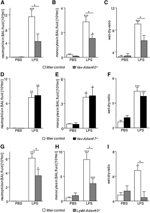 Figure 6. ADAM10 deficiency attenuates LPS-induced acute pulmonary inflammation. (A-C) Vav-Adam10−/−, (D-F) Vav-Adam17−/−, (G-I) LysM-Adam10−/−, and respective litter control mice were intranasally treated with 400 µg/kg LPS or vehicle (PBS). After 72 hours, lungs were lavaged, and BAL fluid was analyzed for content of (A,D,G) neutrophils and (B,E,H) monocytes by flow cytometry. Results are expressed as cell number per milliliter of BAL fluid. (C,F,I) After 72 hours, lung wet-dry-ratio was determined. Data represent means ± SEM (n = 5). Significance was calculated using 1-way ANOVA and the Bonferroni post-test and is indicated by crosses. Crosses without a line indicate significance to the PBS-treated control.