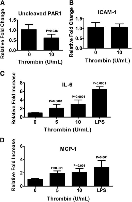 Figure 5. Thrombin activates endothelial PAR1 resulting in release of IL-6 and MCP-1. Confluent monolayers of hBOECs were cultured with the indicated concentrations of thrombin for 24 hours. Flow cytometric analysis was used to evaluate surface expression of (A) uncleaved PAR1 and (B) ICAM-1. Values represent the fold increase in mean fluorescence relative to untreated cells and are expressed as a mean, with vertical bars indicating standard deviation from the mean. Experiments were repeated at least 3 times. Culture media from confluent BOECs exposed to various amounts of thrombin or LPS was isolated and assayed for (C) IL-6 and (D) MCP-1 by ELISA. Values represent the mean of 3 experiments with vertical bars indicating the standard deviation.