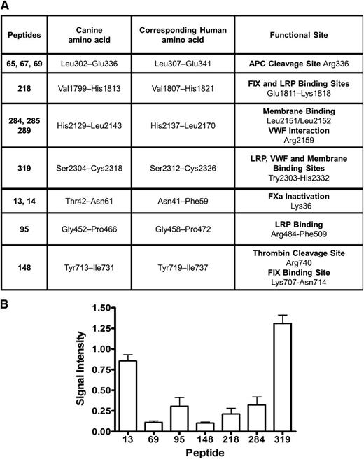 Figure 7. Anti-FVIII IgG2 antibodies isolated from hemophilia dog #3 interact with functional sites on the therapeutic cFVIII protein. (A) Screening a peptide library consisting of 321 peptides spanning the canine BDD FVIII with an ELISA-based assay revealed 12 peptides that interacted with the purified anti-FVIII IgG2 antibodies isolated from dog #3 (column 1). The canine and corresponding human amino acids along with the known functional sites are indicated. (B) After subtracting the background signal (negative control) for each of the peptides, the signal intensity for each peptide was compared with the signal intensity obtained from recombinant cFVIII. For overlapping peptides, the peptide with the strongest signal intensity is displayed on the horizontal axis. APC, activated protein C; FIX, factor IX; FXa, factor Xa.