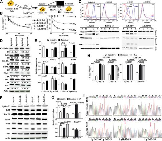 Figure 1. Acquired mutations in the BH3 domain of Bcl2 conferring resistance to ABT-199. (A) Scheme showing the generation of the resistant murine model. A detailed description is provided in “Methods.” (B) Cell lines were incubated with the BH3 mimetics for 48 hours; cell proliferation was measured using the MTS assay. Ly2Bcl2-6 and Ly2Bcl2-9 resistant clones did not show activation of the mitochondrial apoptotic pathway upon exposure to the BH3 mimetics, as shown by the annexin V-FITC measurement and the lack of caspases 3 and 9 cleavage. A representative example from 3 independent experiments is shown. (C) Treatment with 1 µM ABT-199 induced activation of the mitochondrial apoptotic pathway in sensitive but not in resistant cells. Expression analysis of Bcl2 family members by western blot (D) or quantitative real-time PCR (E). (F) Resistant cell lines cultured without ABT-199 (labeled as SA) remained resistant to the BH3 mimetics. (G-H) The protein expression profile in the SA cells was similar to those of the sensitive cell lines. (C-G) Representative data from 1 of 3 independent experiments performed in triplicate (mean ± SD, where indicated). (I) Sequence of Bcl2 identified 2 de novo missense mutations at the same codon (F101) located within the BH3 domain. These mutations were found in the ectopic Bcl2 mouse gene but not in the endogenous mouse Bcl2. Arrows indicate the nucleotide change.