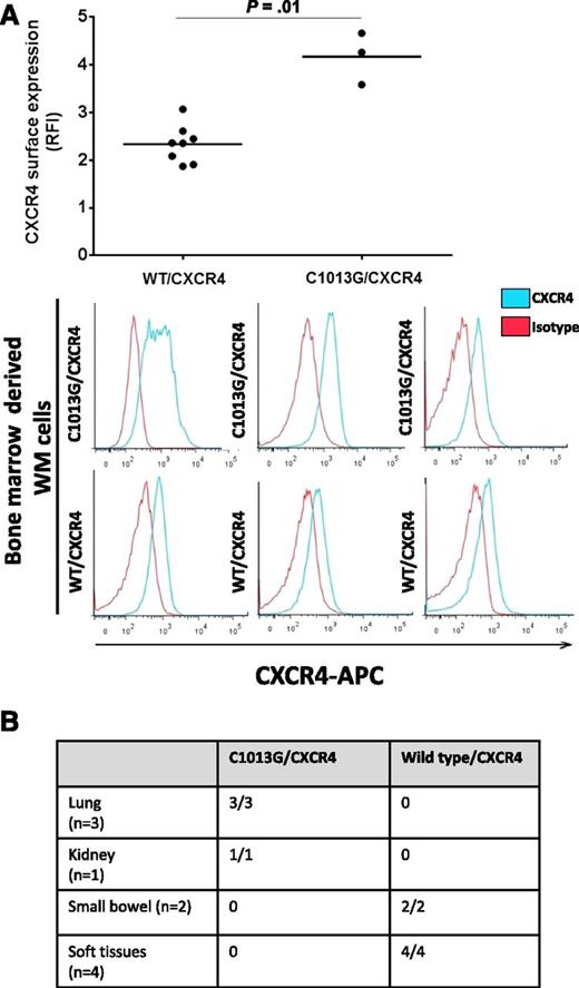 Figure 1. Identification of the somatic C1013G/CXCR4 variant in WM patients. (A) Primary WM samples harboring the C1013G/CXCR4 variant present with higher CXCR4 surface expression compared with wild-type (WT) primary WM samples, as shown by flow cytometry on CD19+ BM-derived WM cells. (B) The C1013G/CXCR4 variant is present in lung and kidney tissues of patients with extramedullary WM disease. The variant has been detected by ASO-PCR using genomic DNA. RFI, relative fluorescence intensity.