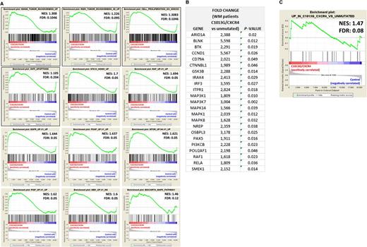 Figure 4. C1013G/CXCR4-mutated cells differ from the control cells at gene level. (A) GSEA enrichment plots of tumor invasiveness, cell proliferation, antiapoptosis, and oncogenic signature genes in C1013G/CXCR4-mutated cells vs control vector–infected cells (control cells). The green curves show the enrichment score and reflects the degree to which each gene (black vertical lines) is represented at the top or bottom of the ranked gene list. The heat map indicates the relative abundance (red to blue) of the genes specifically enriched in the mutated cells as compared with the control cells. All the gene sets were enriched in C1013G/CXCR4-mutated cells, with an FDR always <0.25. Normalized enrichments score (NES) and FDR are shown per each gene set analyzed. (B) Upregulation of genes in WM patients harboring the C1013G/CXCR4 mutation (n = 10) compared with CXCR4/wild-type WM patients (n = 30). P indicates P value. (C) GSEA enrichment plot for the upregulated genes listed in panel B, in C1013G/CXCR4-mutated cells vs control vector–infected cells (control cells). The same genes were enriched in mutated cells as compared with control cells.