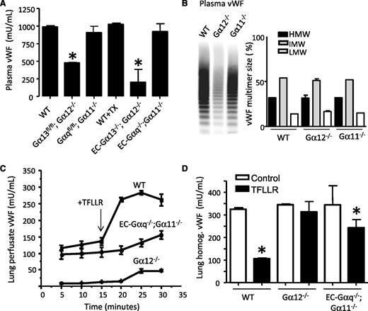 Figure 1. The role of Gα12 and Gαq in vWF secretion and primary hemostasis. (A) vWF levels in plasma from WT vs Gα12−/−, Gα11−/−, EC-Gαq−/−;Gα11−/−, and EC-Gα13−/−;Gα12−/− mice. *P < .05 vs WT; n = 6/group. (B) Representative vWF multimer gel from WT, Gα12−/−, and Gα11−/− mouse plasma. Quantitative multimer analysis shows no difference between Gα12−/− (n = 3) and WT or Gα11−/− mouse vWF. (C) Constitutive and PAR-1 agonist peptide-induced vWF release from WT, Gα12−/−, and EC-Gαq/;Gα11−/− isolated perfused mouse lungs. Time-course of basal and PAR-1-specific peptide TFLLR-evoked vWF release into mouse lung perfusate. (D) vWF in WT, Gα12−/− and EC-Gαq−/−;Gα11−/− mouse lung extracts from untreated lungs or after PAR-1 peptide stimulation. *P < .05 vs WT + TFLLR; n = 6/group. See also supplemental Figure 1B.