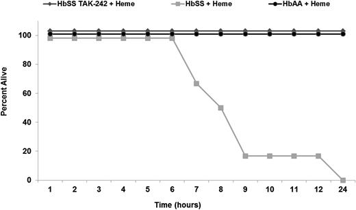 Figure 6. Intravenous heme is lethal in HbSS, but not HbAA, mice and inhibition of TLR4 signaling with TAK-242 rescues HbSS mice. All HbSS and HbAA mice (n = 6 mice per treatment) were given a bolus infusion of heme (32 µmol/kg) at time zero. One treatment group received TAK-242 (2 mg/kg, IP) 30 minutes before heme infusion. Time of death after heme infusion was recorded.