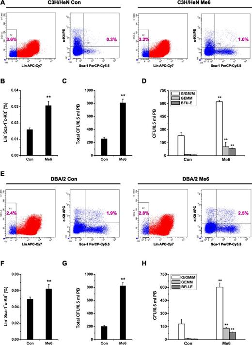 Figure 3. Me6-induced mobilization of HSPCs in C3H/HeN and DBA/2 mouse strains. (A-B) Representative flow cytometry plots and percentage of LSK in PB of C3H/HeN mice subcutaneously injected with 5 mg/kg Me6. (C-D) Analysis of (C) total CFUs, and (D) CFU-G/GM/M, CFU-GEMM, and BFU-E in PB of C3H/HeN mice 12 hours after subcutaneous injection using 5 mg/kg Me6. (E-F) DBA/2 mice were injected with 5 mg/kg Me6 and PB was harvested after 12 hours for LSK analysis. (G-H) Total CFUs, CFU-G/GM/M, CFU-GEMM, and BFU-E in PB of DBA/2 mice 12 hours after Me6 treatment. n = 8 mice per group. **P < .01 vs the control group.
