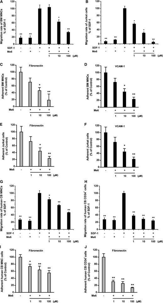 Figure 6. Inhibition of migration and adhesion by Me6. (A-B) Me6 inhibited the migration of mouse BM MNCs and human Jurkat cells toward SDF-1α in a dose-dependent manner. n = 6. *P < .05 and **P < .01 vs the SDF-1α group. (C-F) Me6 significantly inhibited the adhesion of BM MNCs and human Jurkat cells to fibronectin and VCAM-1 in a dose-dependent manner. n = 6. *P < .05 and **P < .01 vs the control group. (G-H) Me6 inhibited the migration of human cord blood (CB) MNCs and CD34+ HSCs toward SDF-1α in a dose-dependent manner. n = 6. *P < .05 and **P < .01 vs the SDF-1α group. (I-J) Me6 significantly inhibited the adhesion of human cord blood MNCs and CD34+ HSCs to fibronectin in a dose-dependent manner. n = 6. *P < .05 and **P < .01 vs the control group.