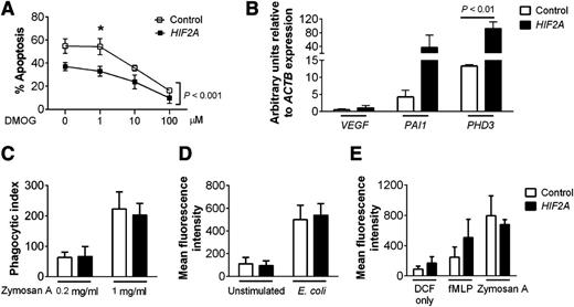 Figure 2. Neutrophils isolated from patients with gain-of-function HIF2A mutations have enhanced survival but normal function. (A) Apoptosis. Neutrophils from patients with HIF2A mutations (closed squares) or healthy controls (open squares) were cultured for 20 hours with dimethyloxalylglycine (0-100 µM) and apoptosis was determined by morphology. Data are mean ± SEM for n = 3, analyzed by 2-way ANOVA with Bonferroni’s multiple comparison post-test. Overall, there was a significant difference between the control group and the patient group (P < .001), with multiple comparison testing showing statistical significance at the 1 µM concentration (*P < .05). (B) Expression of the HIF targets VEGF, PAI1, and PHD3. TaqMan quantitative PCR analysis of cDNA prepared from freshly isolated neutrophils of patients with HIF2A mutations (filled bars) or healthy controls (open bars). Data are mean and SEM for n = 3. (C-D) Phagocytosis. (C) Phagocytic index was calculated from cytospin slides of neutrophils from healthy controls (open bars) and HIF2A patients (filled bars) prepared after 30 minutes of culture with opsonized zymosan (0.2-1 mg/mL). (D) Flow cytometry analysis of intracellular Alexa Fluor 488 E coli was performed after 30 minutes of culture of cells from healthy controls (open bars) and HIF2A patients (filled bars). (E) Respiratory burst. Neutrophils from healthy controls (open bars) and HIF2A patients (filled bars) were cultured in the presence of dichlorofluorescin only or dichlorofluorescin and N-formyl-Met-Leu-Phe (100 nM) or zymosan A (0.2 mg/ml) and analyzed by flow cytometry. Data show mean and SEM for n = 3.