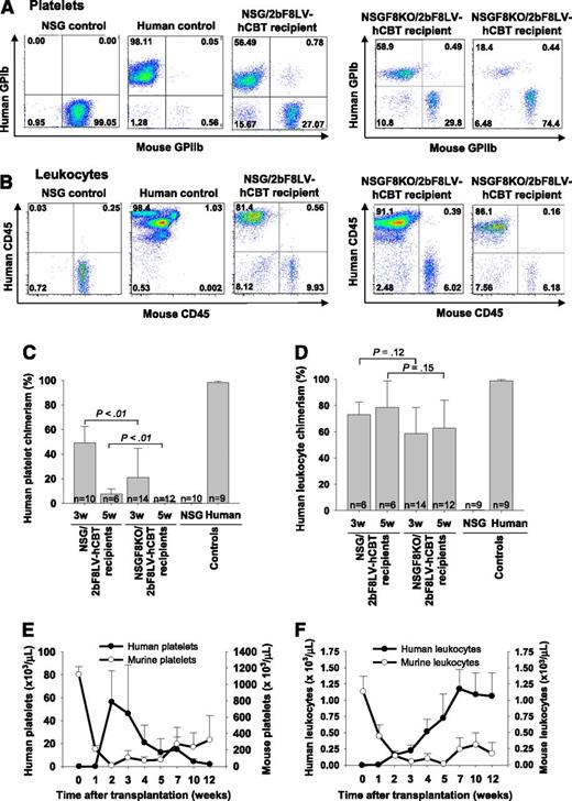 Figure 1. Human cell chimerism in NSG and NSGF8KO mice that received 2bF8LV-transduced hCB CD34+ cells. Blood samples were collected from tail bleeds. Human platelets were identified by a mouse anti-human glycoprotein Ib alpha chain (GPIbα) antibody AP1. Mouse platelets were stained with a rat anti-mouse CD41 (GPIIb) antibody. Human leukocytes were identified by mouse anti-human CD45 antibody, and mouse leukocytes were identified by rat anti-mouse CD45 antibody. (A) Representative flow cytometric analysis of platelets in peripheral blood of NSG and NSGF8KO recipients at 3 weeks after transplantation. (B) Representative flow cytometric analysis of leukocytes in peripheral blood of NSG and NSGF8KO recipients between 5 and 7 weeks after transplantation. (C) Human platelet chimerism in NSG and NSGF8KO recipients. Samples from NSG mice and normal human individuals were used as controls. Data are summarized from 10 trials of xenotransplants. (D) Human leukocyte chimerism in NSG and NSGF8KO recipients. Samples from NSG mice and normal human individuals were used as controls. Data are summarized from 10 trials of xenotransplants. (E) Time course of human platelet production in NSG recipients. Data are summarized from 2 trials of xenotransplants (n = 4 to 9 mice for each group). (F) Time course of human leukocyte production in NSG recipients. Data are summarized from 2 trials of xenotransplants (n = 4 to 7 mice for each group). w, weeks.