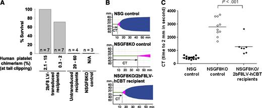 Figure 5. Phenotypic correction assessment. (A) Tail clip survival test assessing the phenotypic correction in 2bF8LV-transduced humanized NSGF8KO mice. The tail clipping test was performed at least 4 weeks after transplantation. Mice surviving beyond 24 hours were considered to have achieved phenotypic correction. Untransduced hCB-transplanted and untransplanted NSGF8KO recipients were tested as controls. Data are summarized from 10 trials of xenotransplants. (B) ROTEM analysis. The ROTEM analysis was performed between 6 and 8 weeks after transplantation when human platelet chimerism was 0.4% to 5.5%. Representative TEMograms (thromboelastometry graphs) from untransplanted NSG, untransplanted NSGF8KO, and 2bF8LV-transduced humanized NSGF8KO (with 2% human platelet chimerism) mice are shown. (C) Whole blood CT determined by ROTEM analysis. Untransplanted NSG and NSGF8KO mice were used as controls. Data are summarized from 5 trials of xenotransplants. N/A, not applicable.