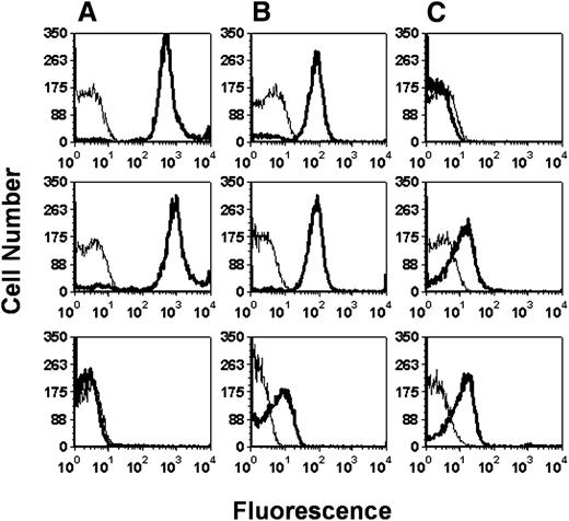 Figure 1. Generation of antiplatelet IgG antibodies in CD61 KO mice. Representative flow cytometric histograms of anti-CD61 and/or anti-MHC class I serum reactivity from immunized BALB/c CD61 KO mice. BALB/c CD61 KO mice were transfused weekly (×4) with platelets from either (A) BALB/c (CD61+/ H-2d) mice; (B) C57BL/6 (CD61+/ H-2b) mice; or (C) C57BL/6 CD61 KO (CD61−/ H-2b) mice. Serum was prepared and incubated (1:400 dilution shown) with either BALB/c platelets (top panels), C57BL/6 platelets (middle panels), or C57BL/6 CD61 KO platelets (lower panels), and then incubated with a fluorescein isothiocyanate-conjugated goat anti-mouse IgG secondary antibody, and fluorescence was analyzed by flow cytometry. The thin lines in each histogram indicate the pretreatment serum reactivity, while the thick lines show serum reactivity after 4 platelet transfusions. Splenocytes from the immune mice were then used in the indicated experiments.