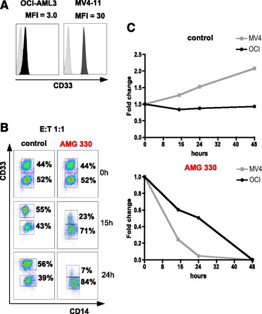 Figure 3. AMG 330-mediated lysis of AML cell lines is dependent on CD33 expression intensity. (A) CD33 expression intensity (MFI ratio) of AML cell lines OCI-AML3 and MV4-11. (B-C) Preferential killing of MV4-11 cells (CD33BRIGHT) compared with OCI-AML3 cells (CD33DIM) using AMG 330 and PBMCs from a HD. In control wells (C, top) MV4-11 cells showed stronger proliferation compared with OCI-AML3. A representative example for an E:T ratio of 1:1 is shown.