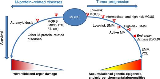 Spectrum of the possible progression of MGUS. Acquisition of somatic genetic and epigenetic abnormalities in the tumor cells and changes in the bone marrow microenvironment lead to the transformation of non-IgM MGUS into SMM, to MM, extramedullary myeloma (EMM), and plasma cell leukemia (PCL). IgM-MGUS can progress to smoldering Waldenström macroglobulinemia (WM), to WM, lymphoma, or other chronic lymphoproliferative disorders (not shown in the figure). The stages of progression are differentiated using biomarkers () and imaging. Recently, the diagnosis of “active myeloma” has been proposed, a condition anticipating the occurrence of end-organ damage (CRAB).5 The clone may also produce end-organ damage through the M-protein. The protein may target the kidney in monoclonal gammopathy of renal significance (MGRS), including, among others, monoclonal immunoglobulin deposition disease (MIDD), immunotactoid glomerulopathy (ITG), and Fanconi syndrome (FS). The monoclonal light chains may deposit in tissues, causing progressive organ dysfunction; the most notable condition is AL amyloidosis. Biomarkers may help to anticipate the diagnosis of these conditions, before irreversible organ damage has occurred. Other M-protein–related conditions, such as autoimmune neuropathies and chronic cold agglutinin disease, are caused by the autoantibody activity of the M-protein.