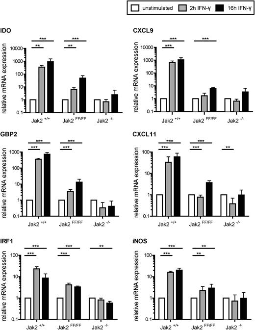 Figure 3. The Jak2 noncanonical function is sufficient for IFN-γ–responsive target gene expression. MEFs from Jak2+/+, Jak2FF/FF and Jak2−/− mice were stimulated with IFN-γ for the indicated time. Subsequently, RNA was prepared and analyzed by quantitative reverse-transcription PCR for expression of IDO, CXCL9, GBP2, CXCL11, IFR1, and iNOS. Each data point represents the arithmetic means of 2 independent experiments of triplicate samples (n = 2 × 3). ***P < .001, **P < .01. The standard deviation is indicated for each data point.