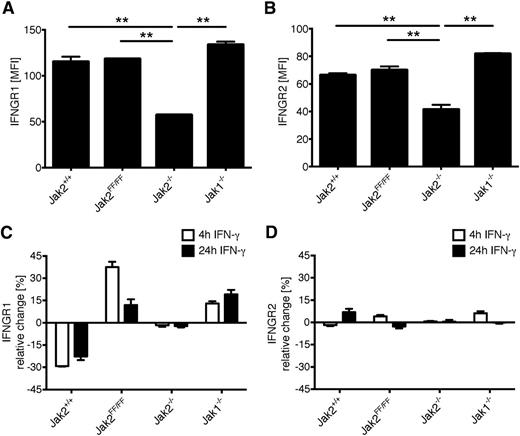 Figure 6. Jak2 kinase activity is essential for IFN-γ complex internalization and degradation. (A-B) Unstimulated MEFs from Jak2+/+, Jak2FF/FF, Jak2−/−, and Jak1−/− mice were analyzed for IFNGR1 and IFNGR2 surface expression by flow cytometry. One representative experiment of 3 independent experiments run in triplicates is shown. The standard deviation is indicated for each data point. (C-D) MEFs from Jak2+/+, Jak2FF/FF, Jak2−/−, and Jak1−/− mice were stimulated with IFN-γ for the indicated time points or left untreated. IFNGR1 and IFNGR2 surface expression was measured via fluorescence-activated cell sorter analysis. One representative experiment of 3 independent experiments run in triplicate is shown. The standard deviation is indicated for each data point.
