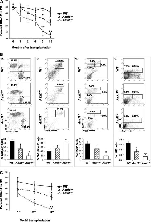 Figure 6. Asxl1 loss impaired the hematopoietic repopulation capacity of HSCs. CD45.2+ BM cells from young WT, Asxl1+/−, or Asxl1−/− mice were mixed with CD45.1+ competitor cells at a ratio of 1:1 (1 × 106 cells each) and transplanted into lethally irradiated F1 recipients. (A) The kinetics of CD45.2 chimerism in the PB of mice receiving WT, Asxl1+/−, or Asxl1−/− BM cells are shown (mean ± SD of 3-7 animals). (B) Flow cytometric analysis of BM cells from representative mice receiving WT, Asxl1+/−, or Asxl1−/− BM cells 10 months after transplantation using indicated antibody combinations. The percent CD45.2+ cells as well as Gr1+/Mac1+, B220+, and LSK distribution within the CD45.2+ cells in the BM of each group of recipient mice is shown (mean ± SD of 3-5 animals). (C) Serial transplantations were performed as described in supplemental Material and methods. The percent CD45.2 chimerism in the BM of recipient mice 4 months after each round of transplantation is show as mean ± SEM. *P < .05, **P < .01.