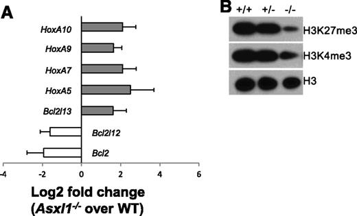 Figure 7. Asxl1−/− HSC/HPCs had an altered expression of genes implicated in apoptosis regulation and reduced global levels of H3K27me3 and H3K4me3. (A) The mRNA expression of HoxA5/7/9/10, Bcl2l13, Bcl2, and Bcl2l12 in the BM Lin–c-Kit+ cells of WT (n = 4) and Asxl1−/− (n = 4) mice were determined by qPCR. Data are shown as relative expression units to the respective gene expression in WT mice using Gapdh as an internal calibrator. (B) Western blot analyses of H3K27me3 and H3K4me3 in the BM Lin–c-Kit+ cells of each genotype of mice. Total H3 levels served as loading controls. Representative blots from 3 independent experiments are shown.